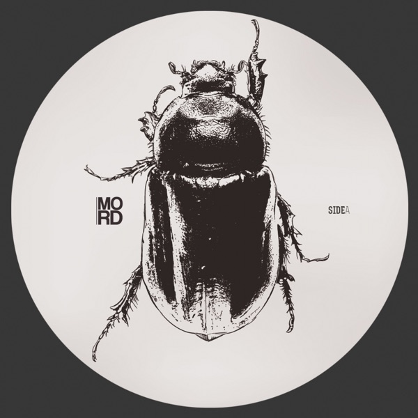 Anomalies - EP
