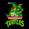 Teenage Mutant Ninja Turtles Theme Song - TMNT