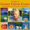 The Best Of Gomer Edwin Evans: Fantastic Instrumental Music - Gomer Edwin Evans
