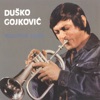 Duško Gojković