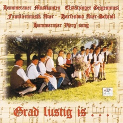 Hammerauer Musikanten - Scherben Landler