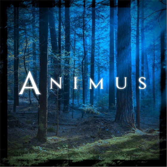 Cover artwork for Timeless as the Waves