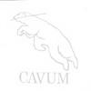 Cavum