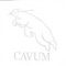 Swim Deep - Cavum lyrics
