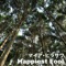 HAPPIEST FOOL - Single ジャケット写真