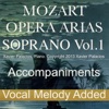 Xavier Palacios - Don Giovanni, K. 527: "Mi Tradi Quell'alma Ingrata" (Melody Added)