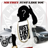 Just Like You - Single - Mr. Trey