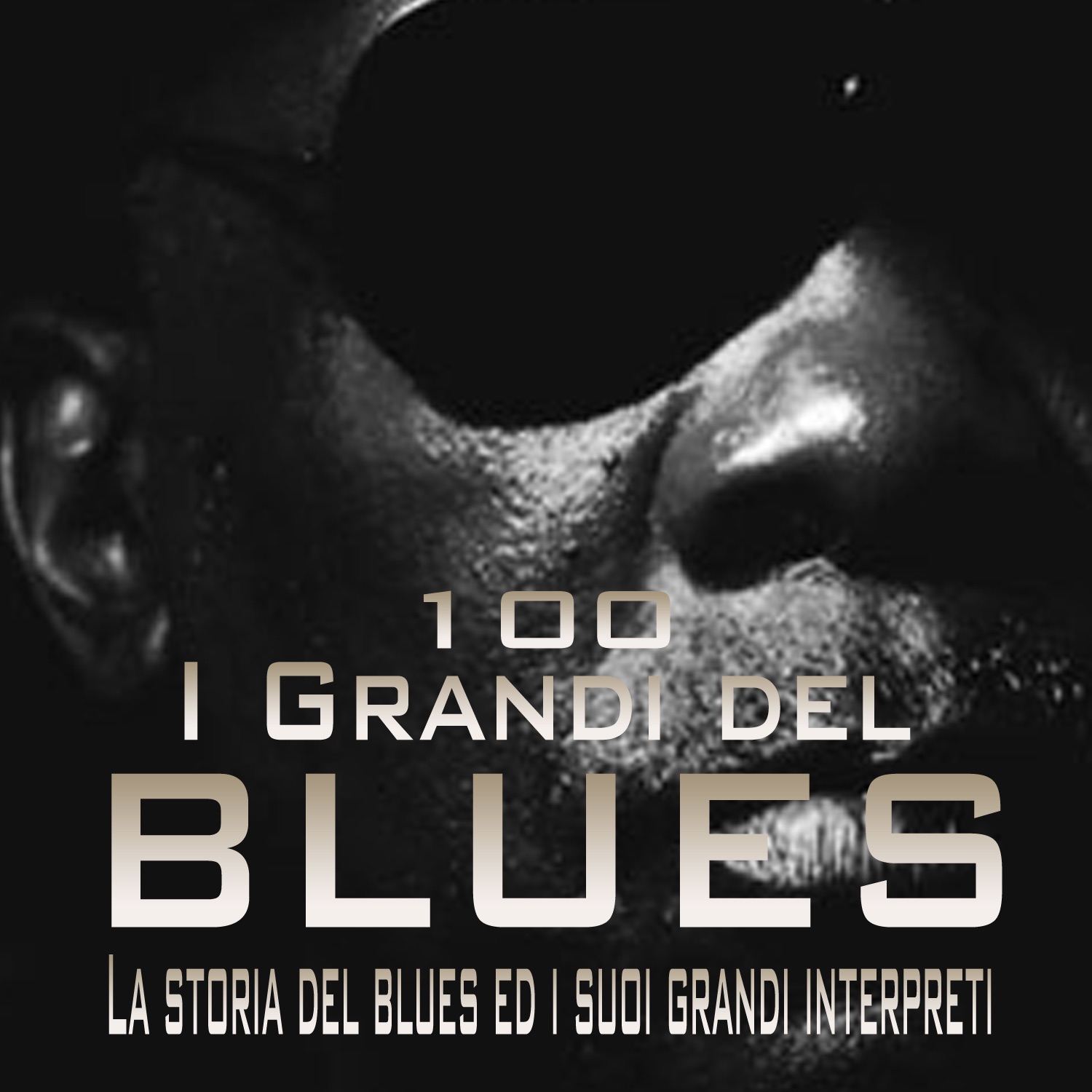 I Grandi del Blues (La storia del blues ed i suoi grandi interpreti)