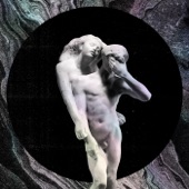 Reflektor cover