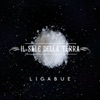 Il sale della terra - Single