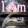 3d Sound Guided Meditation I Am 2 Remove Negative Blocks Re-Educate Your Soul With the Healing Powers of Tibetan Singing Bowls - Paul Santisi