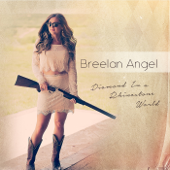 Diamond in a Rhinestone World - Breelan Angel