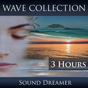 Wave Collection - 3 Hours