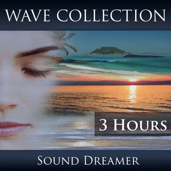 Wave Collection - 3 Hours