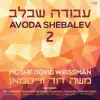 Moshe Dovid Weissman - Yevarechecha