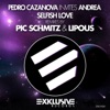 Selfish Love (Remixes by Pic Schmitz & Lipous) - Single