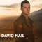 Whatever She's Got - David Nail lyrics