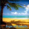 Heiner Müller Heiner Müller Engel uff Teneriffa