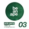 Born in 1980 (Teenage Mutants Remix) - Ante Perry lyrics