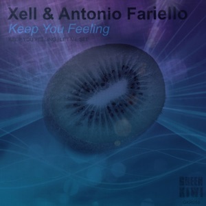 Keep You Feeling - Single