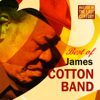 Jelly Jelly - James Cotton Band