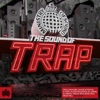 Spaceman (The Sound of Trap Edit) [Carnage Festival Trap Remix] cover art