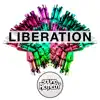 Sound Remedy - Liberation