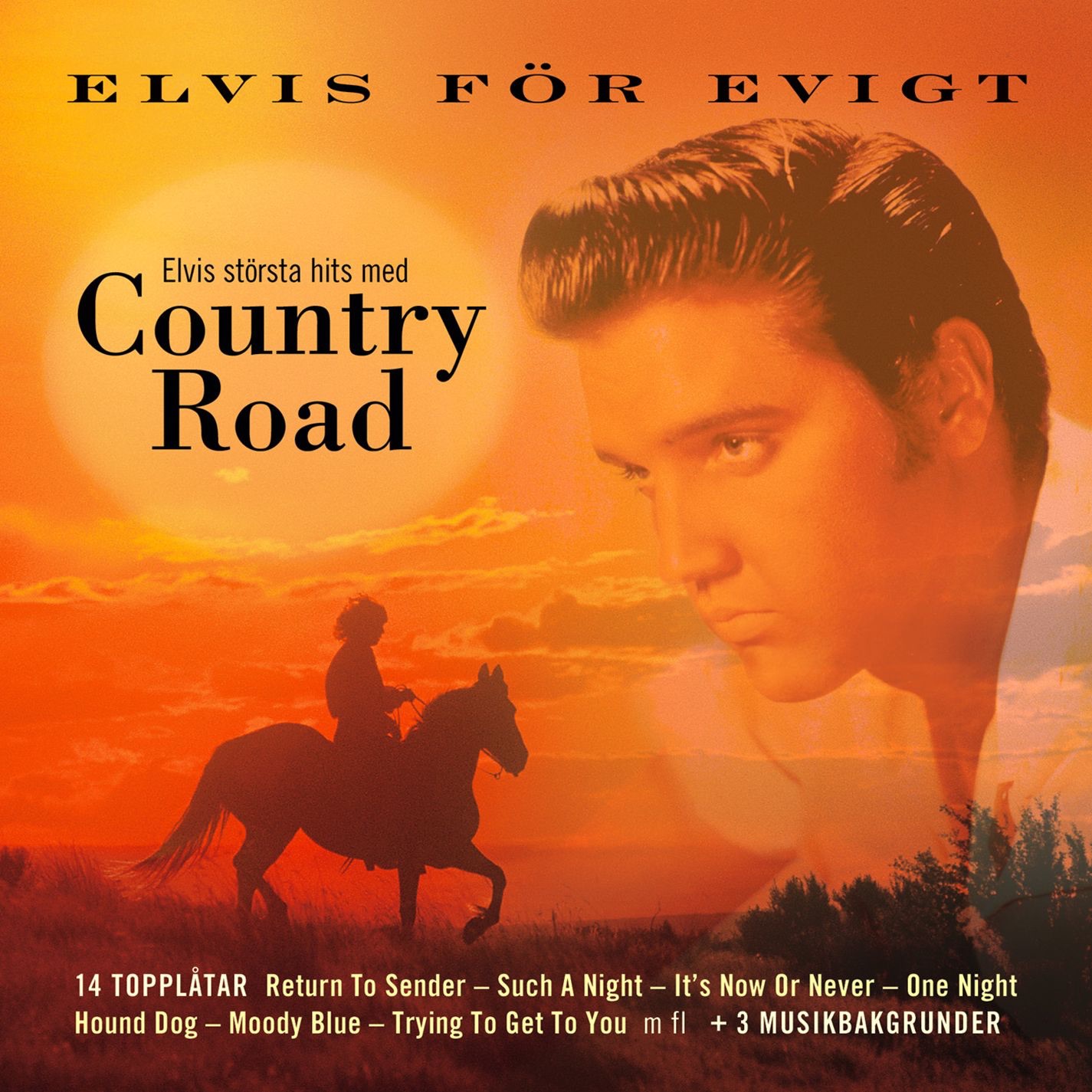 Country Road - One Night (2005)