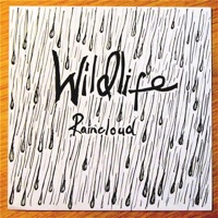 Raincloud - Single - Wildlife