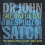 Dr. John - I've Got the World on a String (feat. Bonnie Raitt)