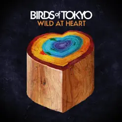 Wild At Heart - EP - Birds of Tokyo