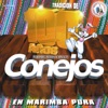 Marimba Internacionales Conejos - Alma Shecana