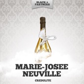 Marie-Josée Neuville - Le monsieur du métro