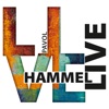 Pavol Hammel & Prúdy - Staré Kone Nahé Jazdkyne