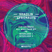Ojo Abameta - EP - The Shaolin Afronauts