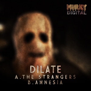 The Strangers/Amnesia - Single