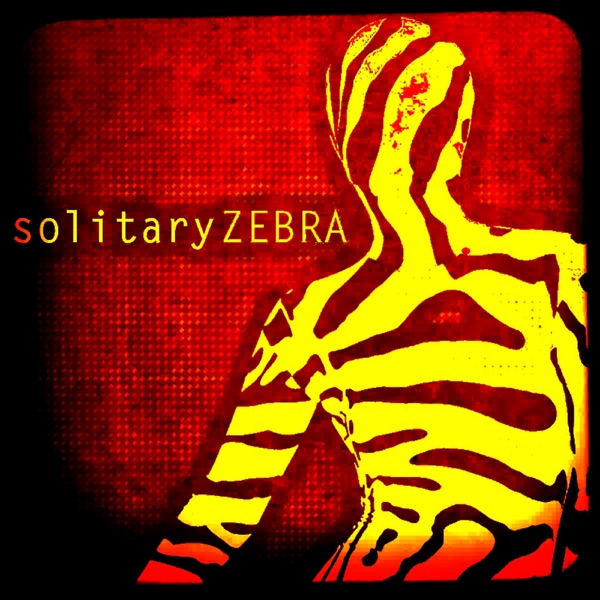 Solitary Zebra - Single