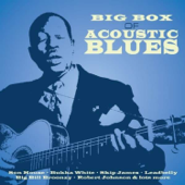 Big Box of Acoustic Blues, Vol. 1