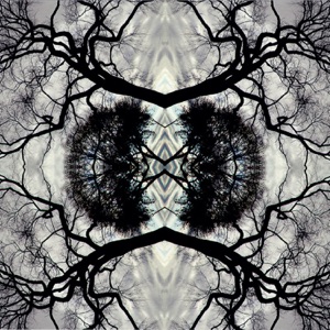 Sonic Mandala (feat. Go: Organic Orchestra)