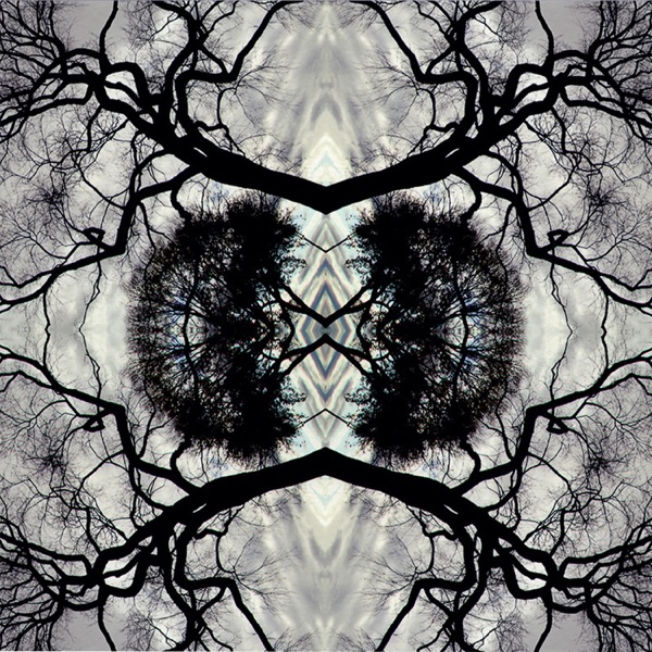 Sonic Mandala (feat. Go: Organic Orchestra)