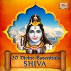 Shiva Tandava Stotram