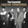 The Fabulous Thunderbirds