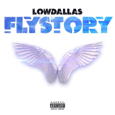 FlyStory