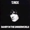 Pain and Love - T. Rex lyrics