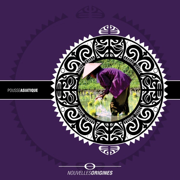 Nouvelles Origines - Pousse Asiatique