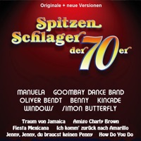 Spitzenschlager der 70er - Various Artists