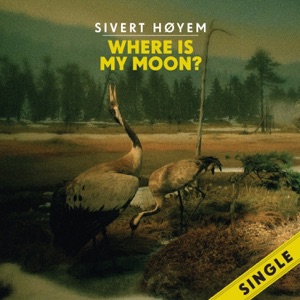 Where Is My Moon? - Single