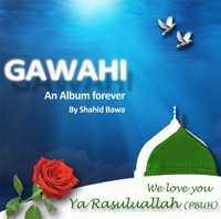 GawahiI (An album forever) - Shahid Bawa