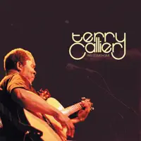 When My Lady Danced (Live) — Terry Callier