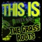 This Is the Grass Roots (Rerecorded)